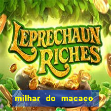 milhar do macaco que mais saem no jogo do bicho