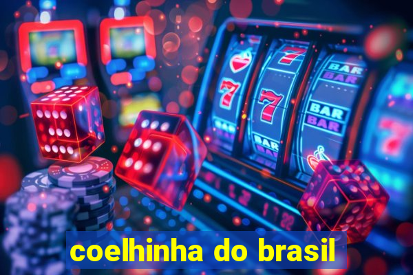 coelhinha do brasil