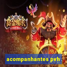 acompanhantes pvh