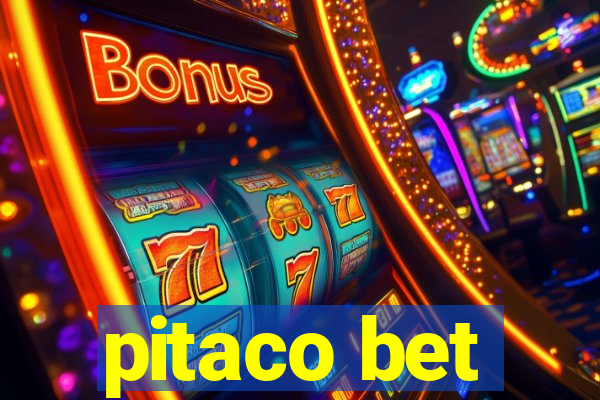 pitaco bet