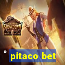 pitaco bet