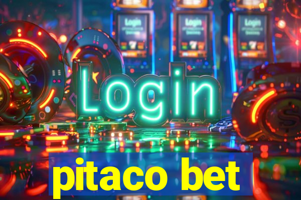 pitaco bet