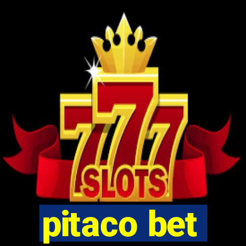 pitaco bet