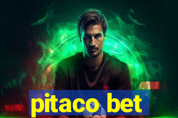 pitaco bet