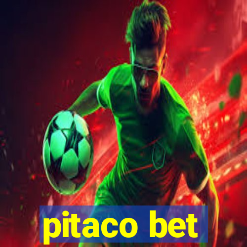 pitaco bet