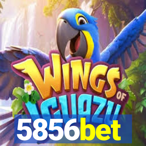 5856bet