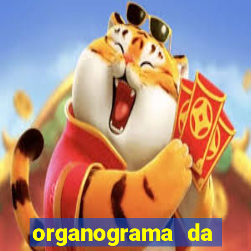 organograma da cacau show