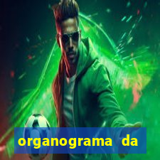 organograma da cacau show