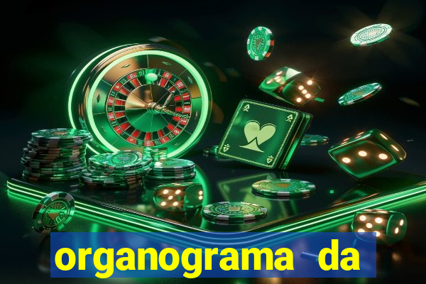 organograma da cacau show