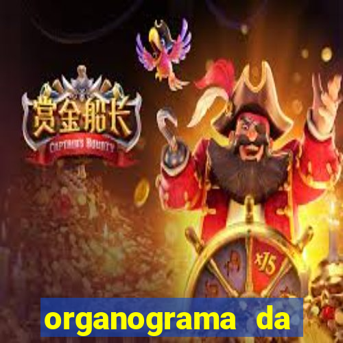 organograma da cacau show