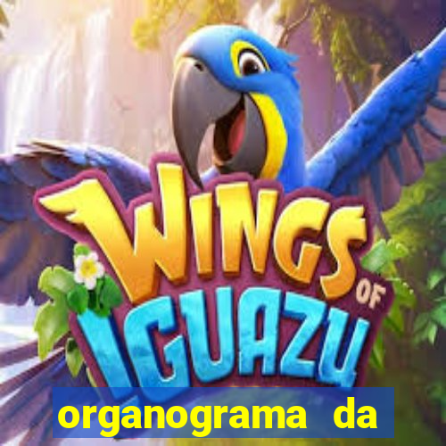 organograma da cacau show