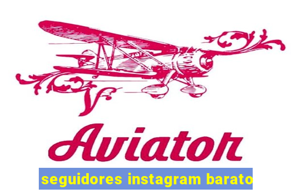 seguidores instagram barato