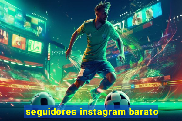 seguidores instagram barato