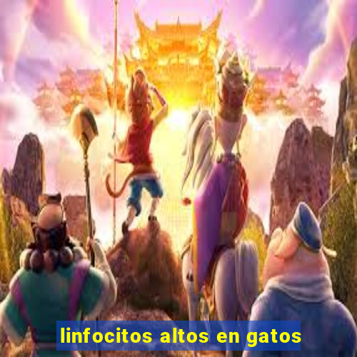 linfocitos altos en gatos