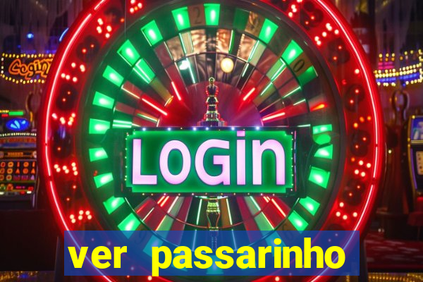 ver passarinho morto significado