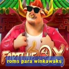 roms para winkawaks