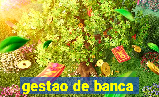 gestao de banca