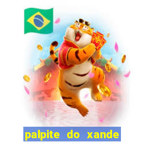 palpite do xande de hoje