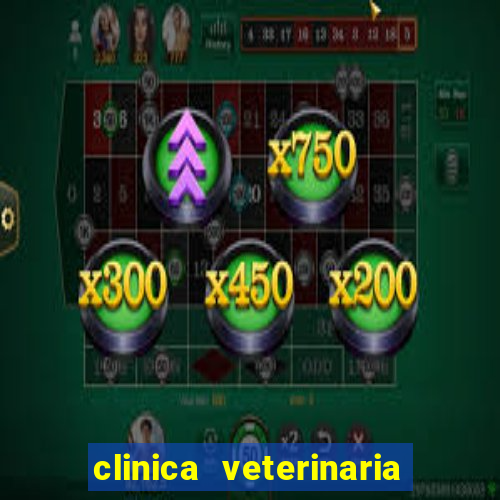 clinica veterinaria cuidar betim