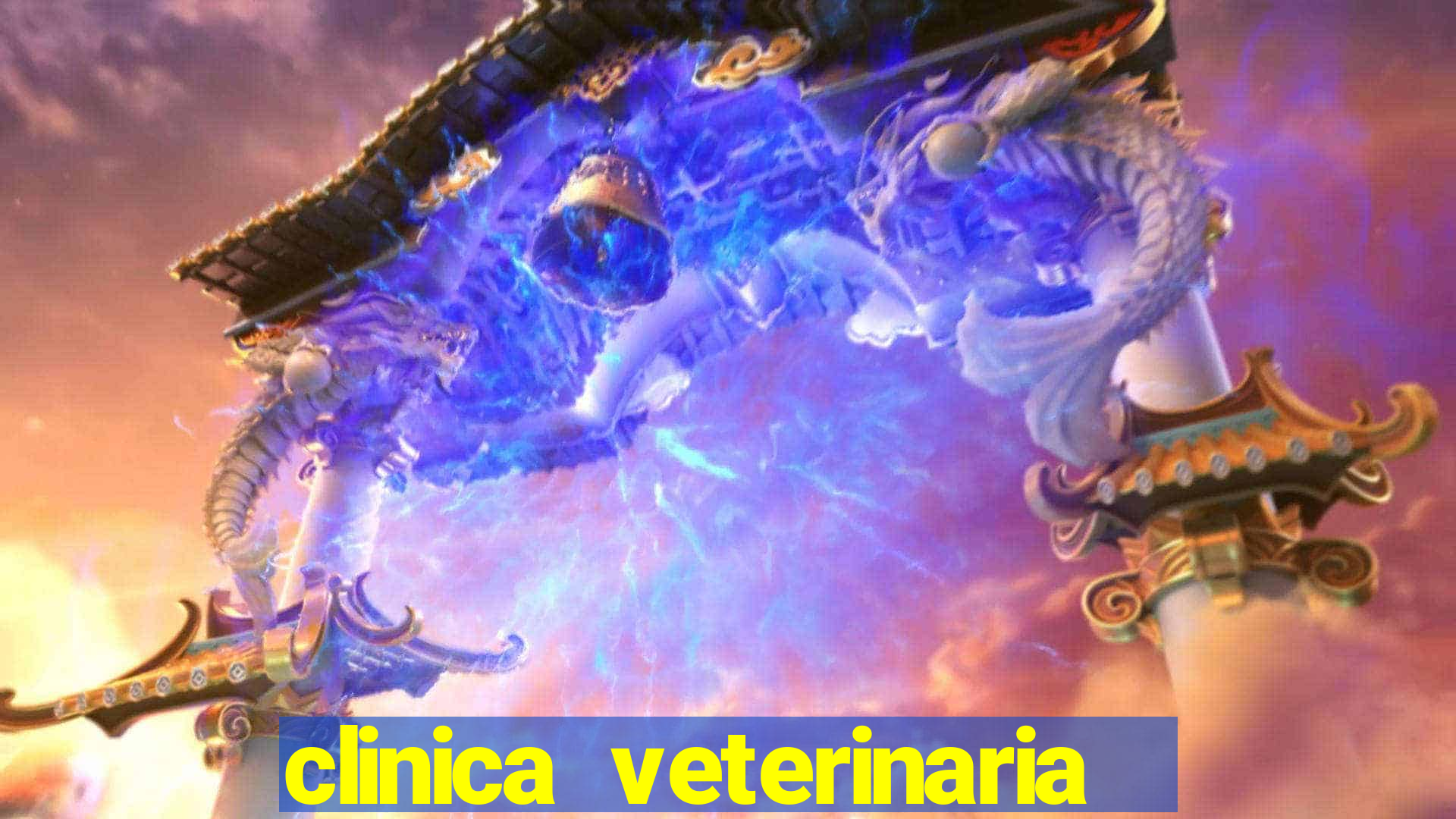 clinica veterinaria cuidar betim