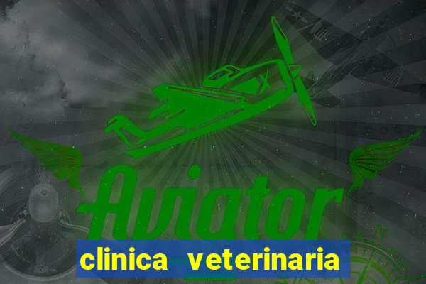 clinica veterinaria cuidar betim