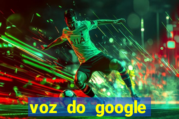 voz do google tradutor homem