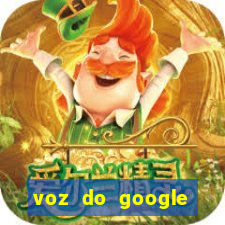 voz do google tradutor homem