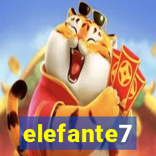 elefante7