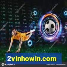 2vinhowin.com