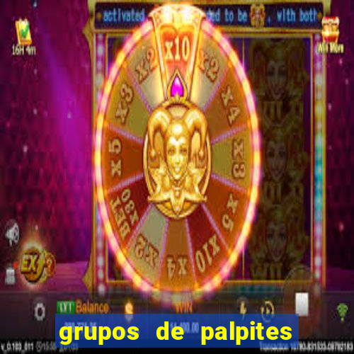 grupos de palpites de futebol whatsapp