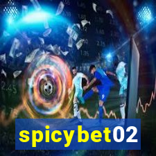 spicybet02