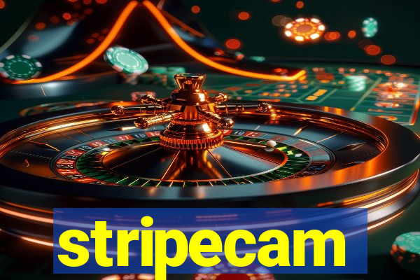 stripecam