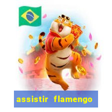 assistir flamengo play hd