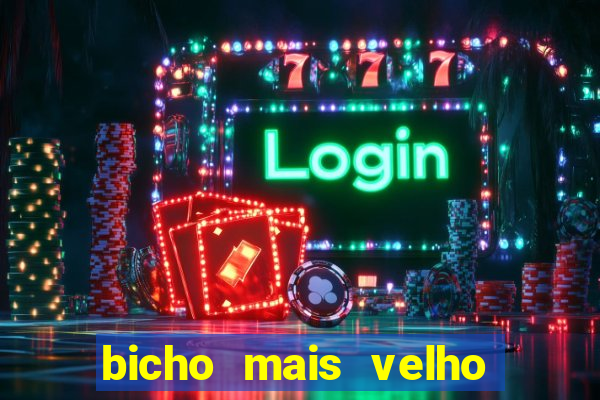 bicho mais velho da loteria dos sonhos