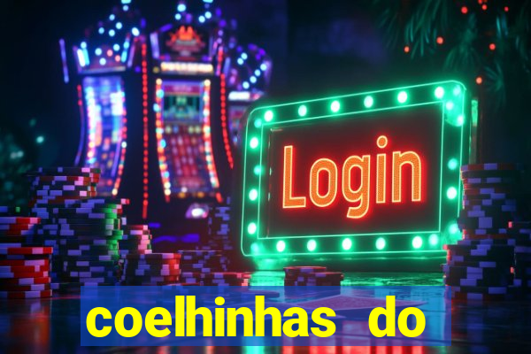 coelhinhas do brasil acompanhantes