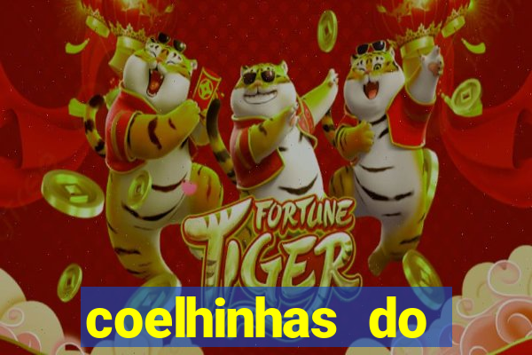 coelhinhas do brasil acompanhantes