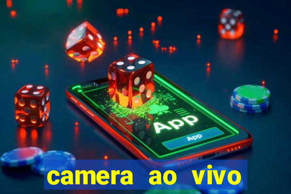 camera ao vivo terminal vila nova cachoeirinha