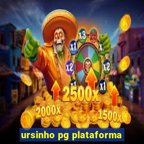 ursinho pg plataforma