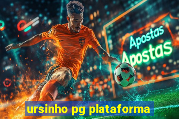 ursinho pg plataforma