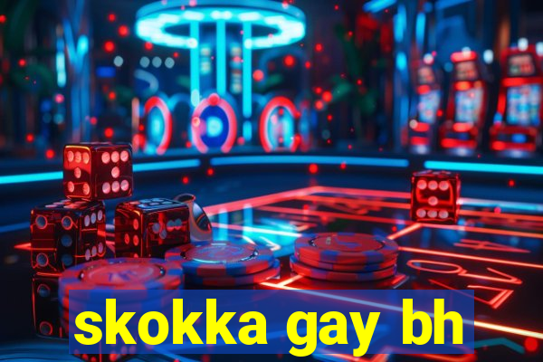 skokka gay bh