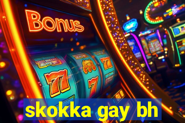 skokka gay bh