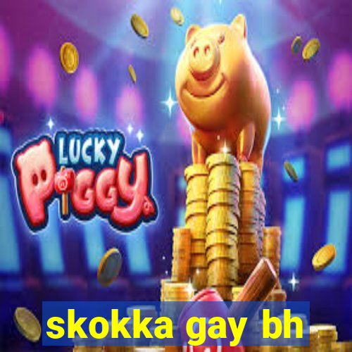 skokka gay bh