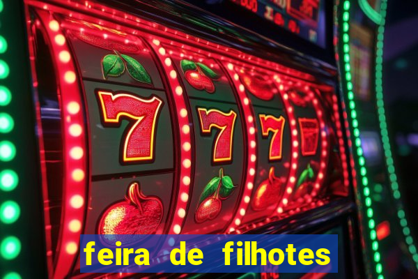 feira de filhotes porto alegre