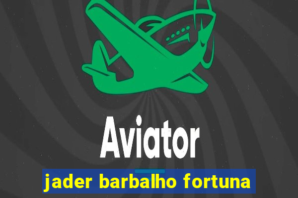 jader barbalho fortuna