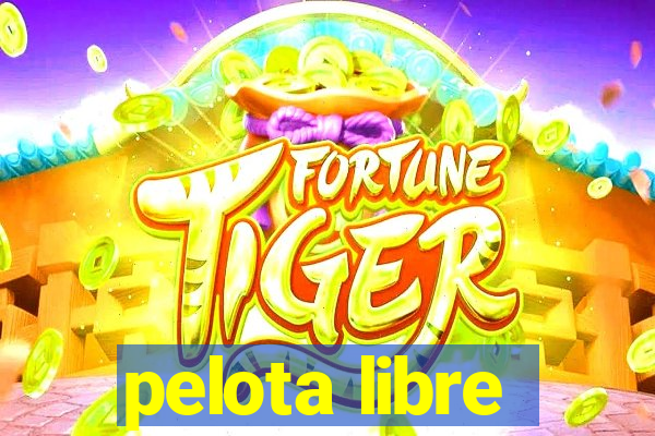 pelota libre