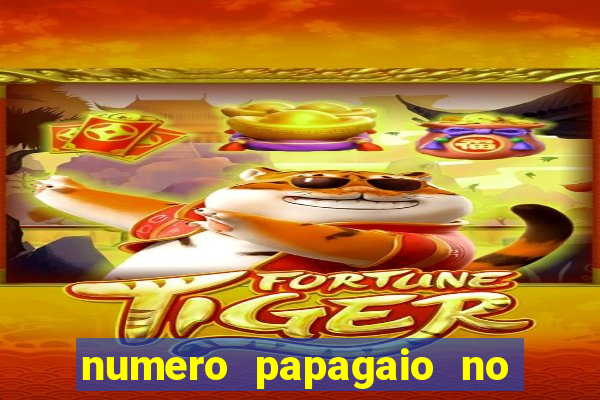 numero papagaio no jogo do bicho