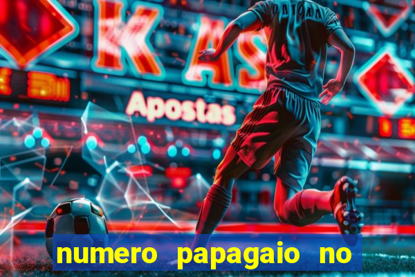 numero papagaio no jogo do bicho