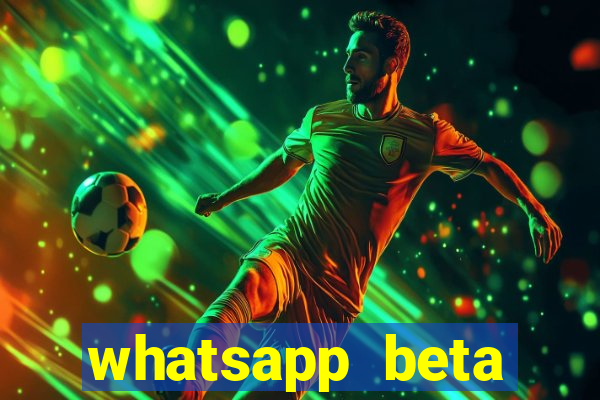 whatsapp beta 3.3.10 2024