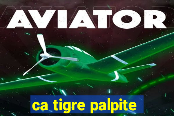 ca tigre palpite