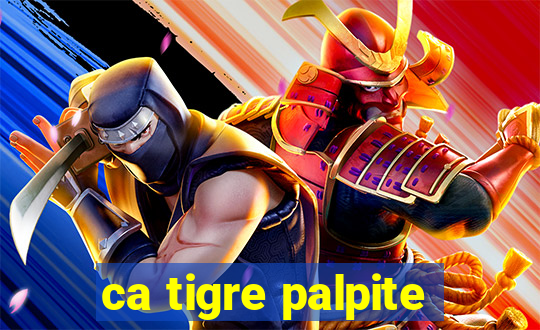 ca tigre palpite